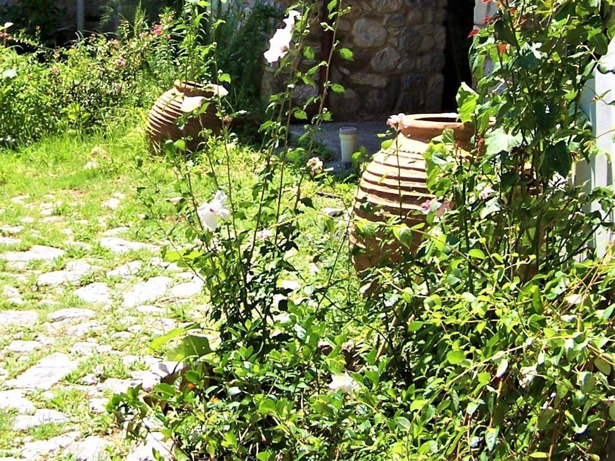 Ανεξαρτητο Studio Στο Ομορφο Καστορειο Kastorion 외부 사진
