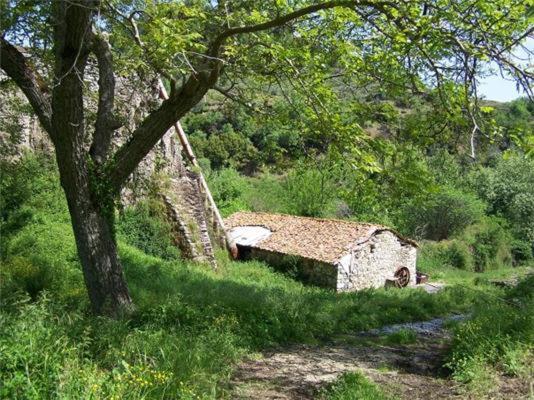 Ανεξαρτητο Studio Στο Ομορφο Καστορειο Kastorion 외부 사진